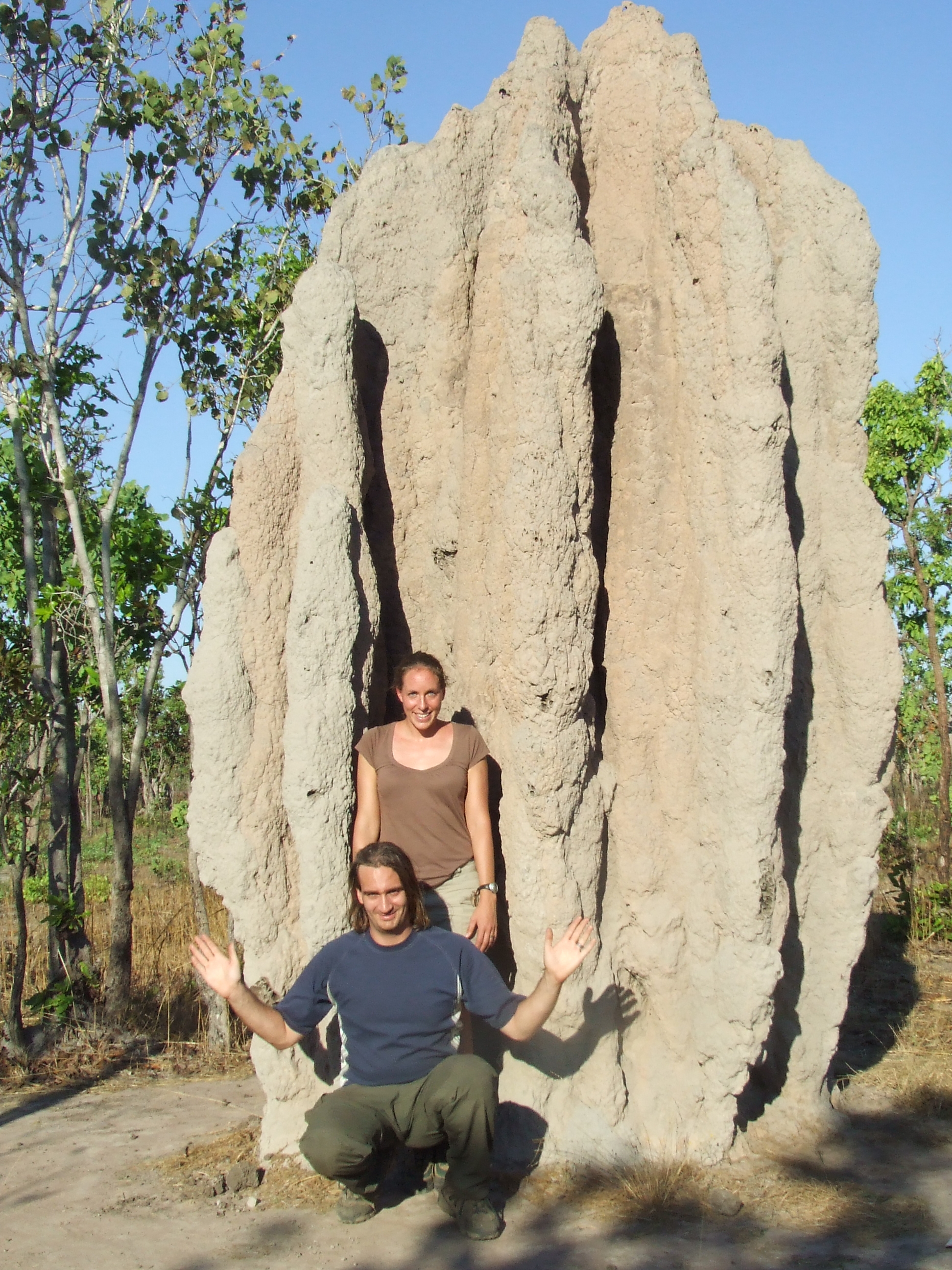 That's a monster termite mound!